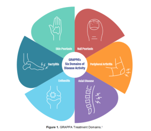 6 Domains