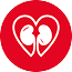 Icon 3