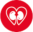 Guideline Icon