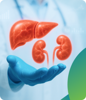 Kidney